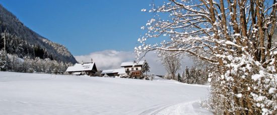 Bauernhof Gindlgut, Flachauwinkl