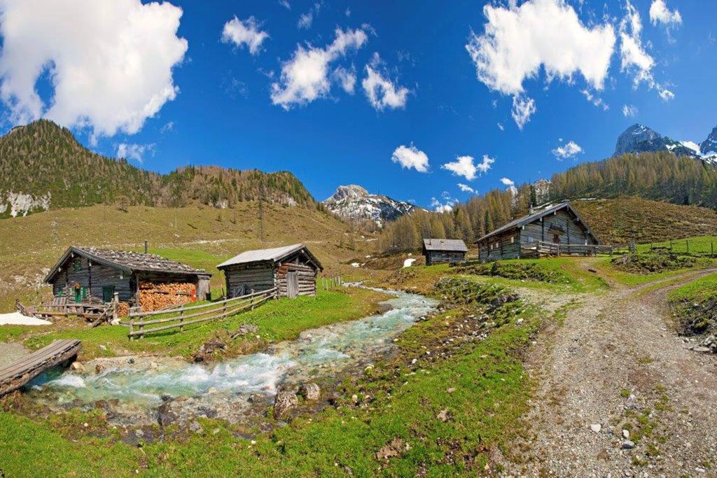 Hauseigene Alm in Flachauwinkl, Flachau